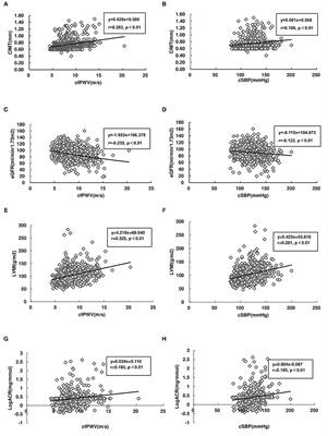 Comparison of Risk of Target Organ Damage in Different Phenotypes of Arterial Stiffness and Central Aortic Blood Pressure